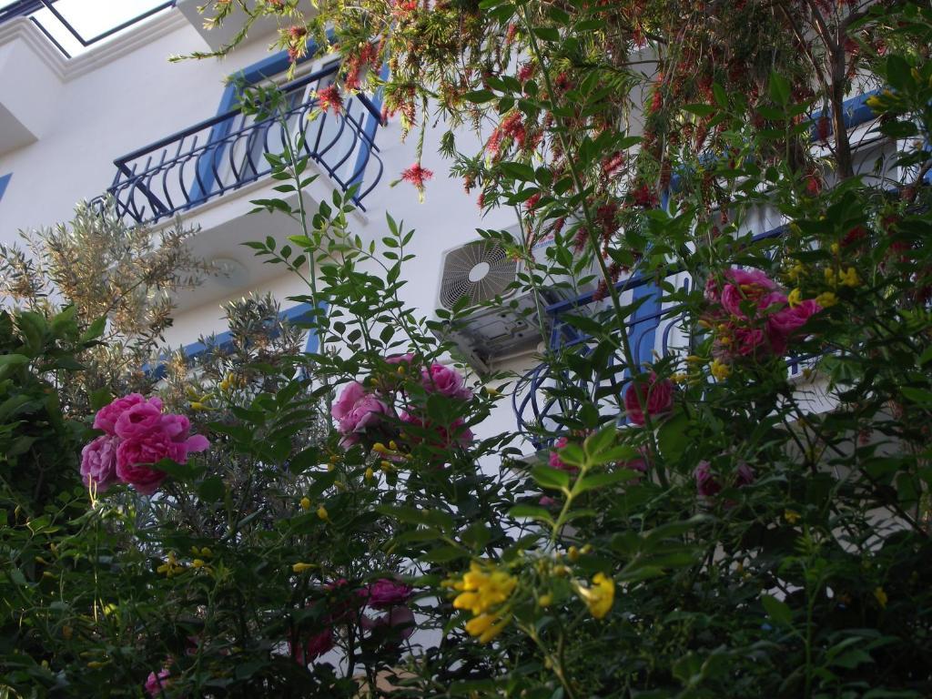 Miramar Pansiyon Kaş Exterior photo